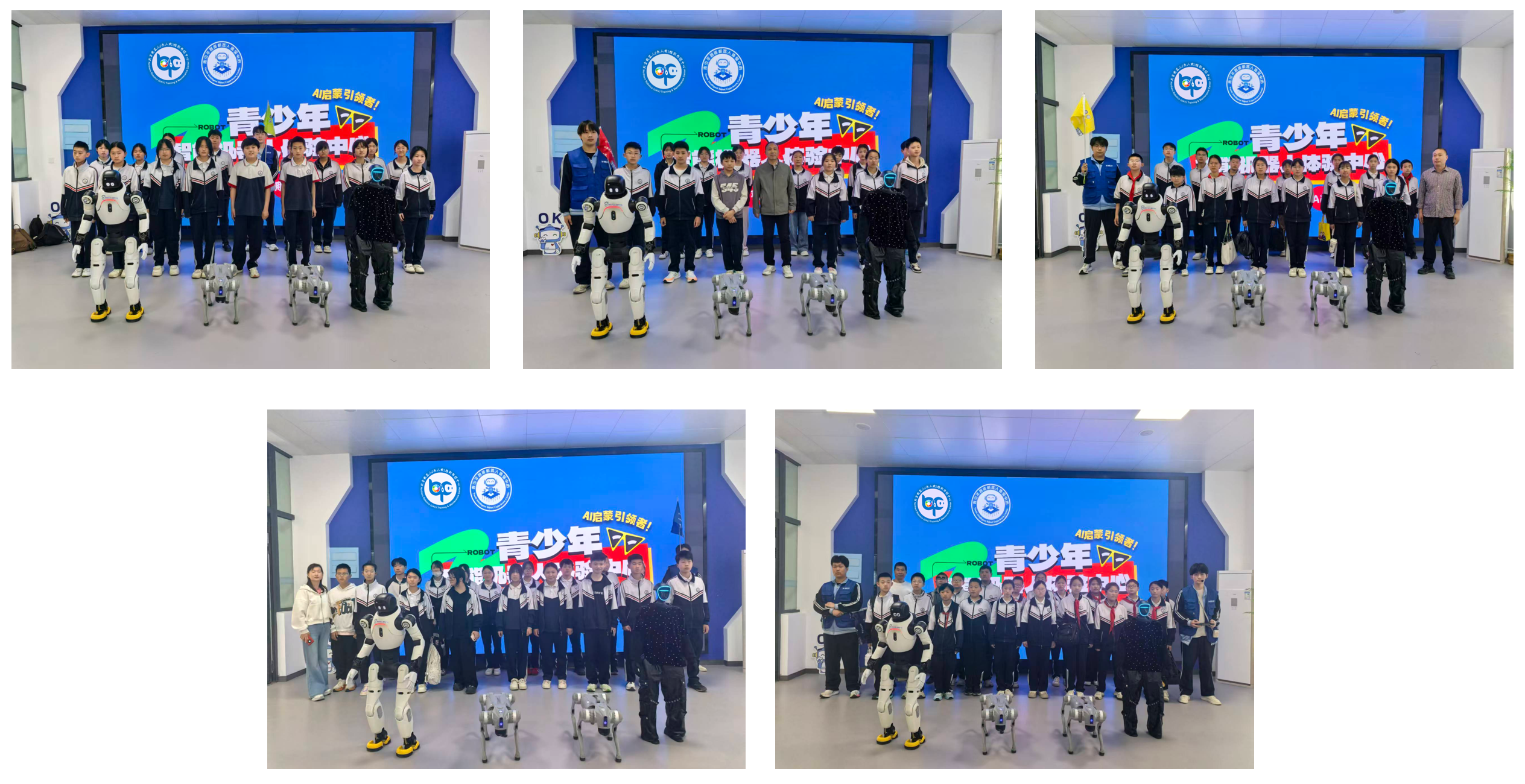 微信图片_20260506035307_725_211 微信图片_20260506035307_725_211